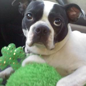 Meet your Posher, Jim